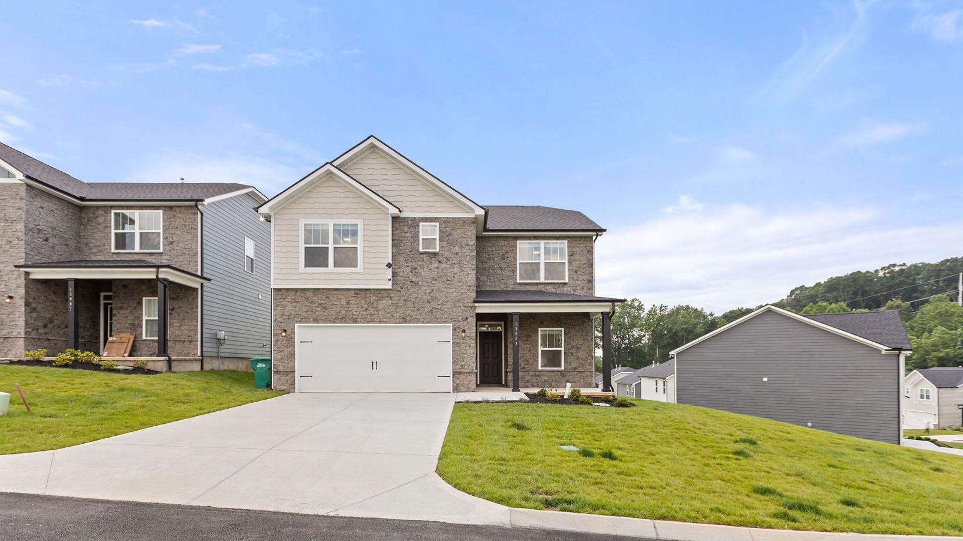 Amber Vista, The Movie